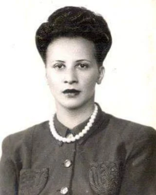 Virginia Bicudo